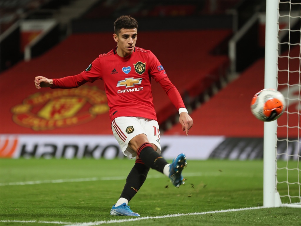 稳定地取得 稳定地取得